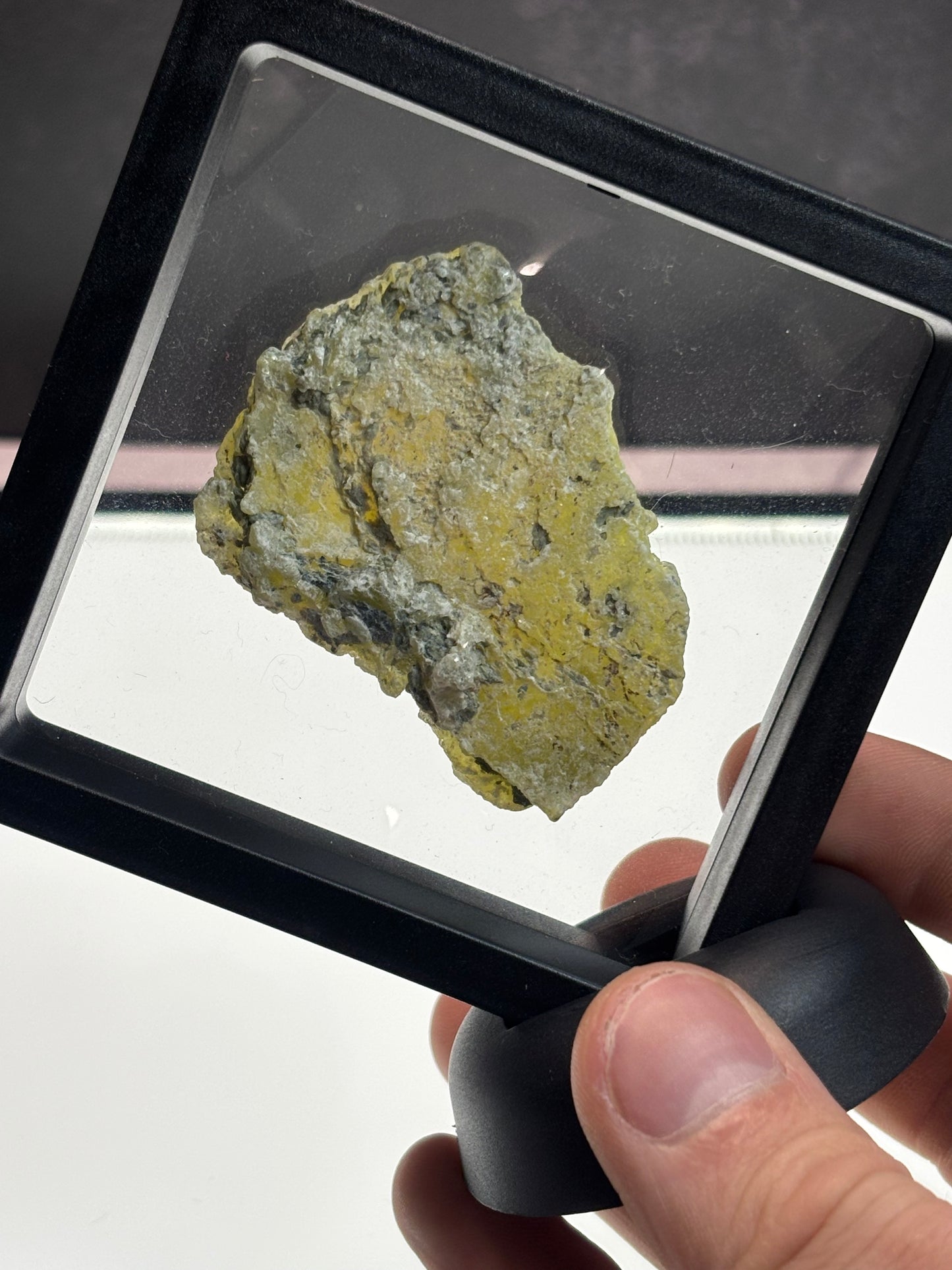 Brucite Specimen! 3.5” Display