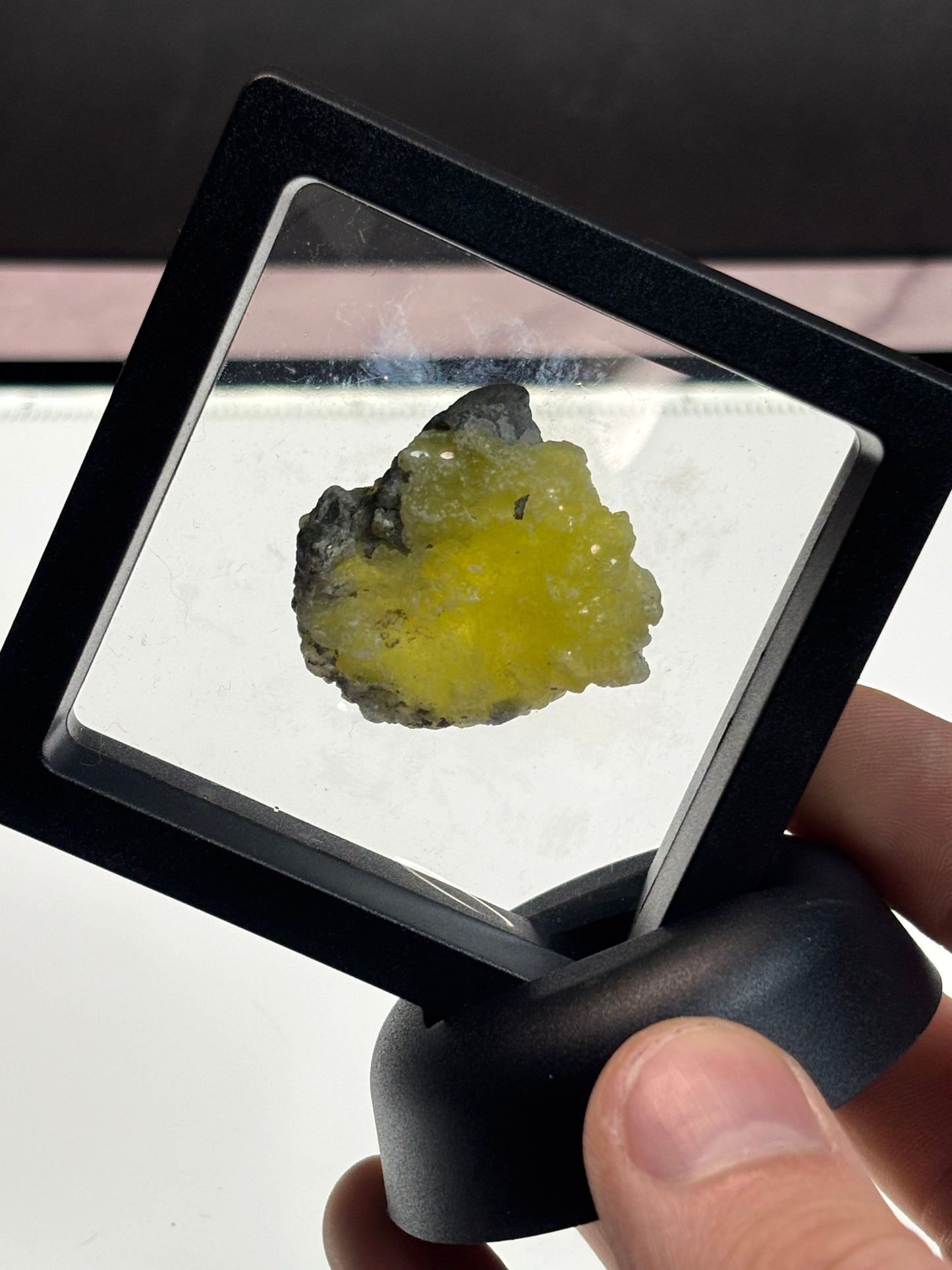 Brucite Specimen! 2.5” Display