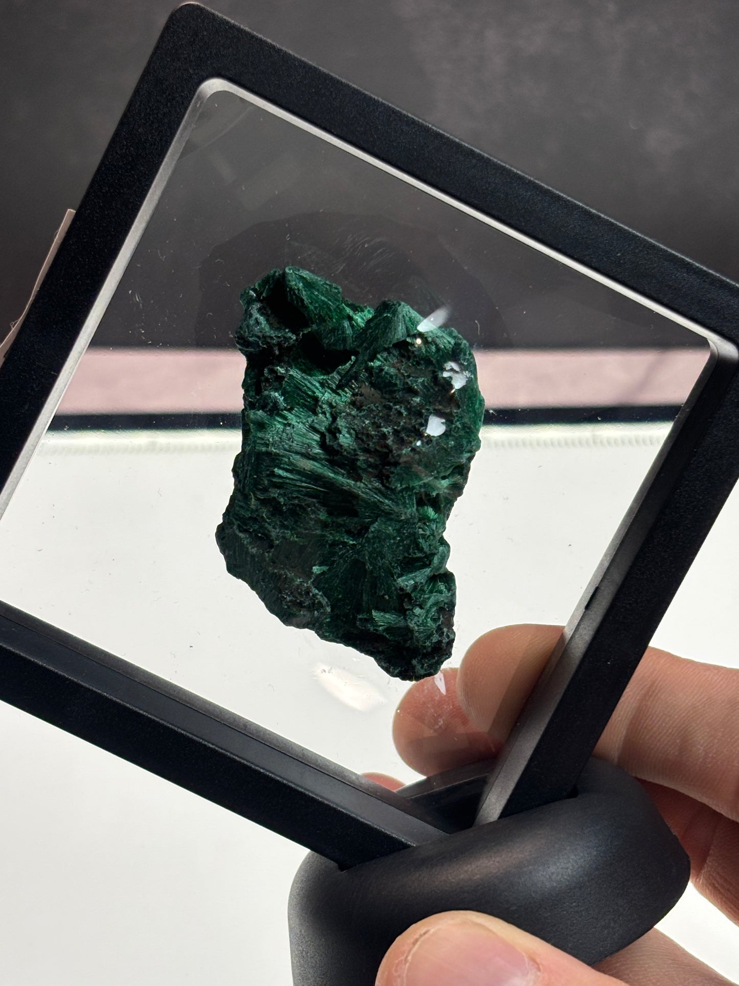 Fibrous Malachite Specimen! 3.5” Display