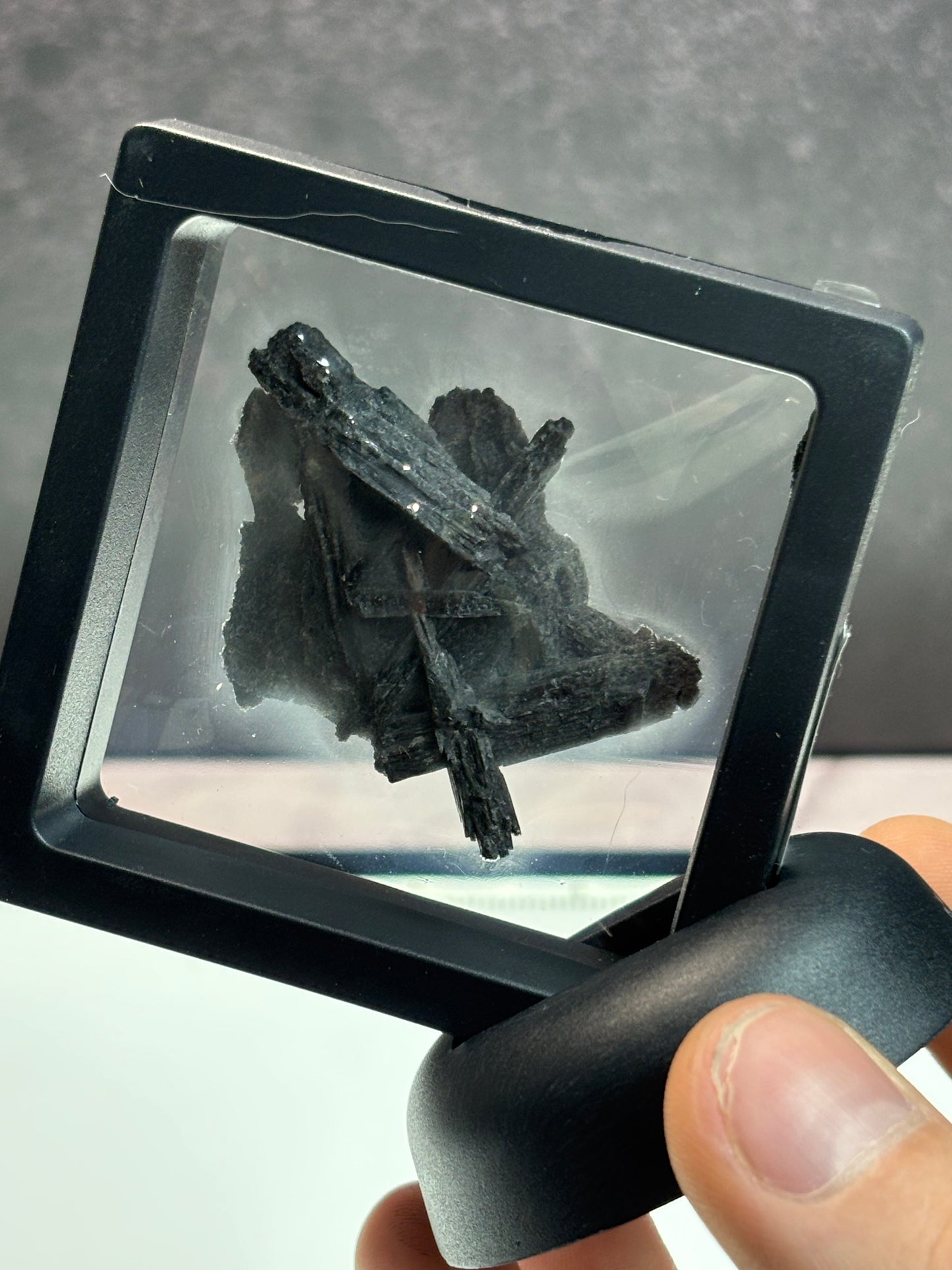 Black Kyanite Fan Specimens! 2.5” display