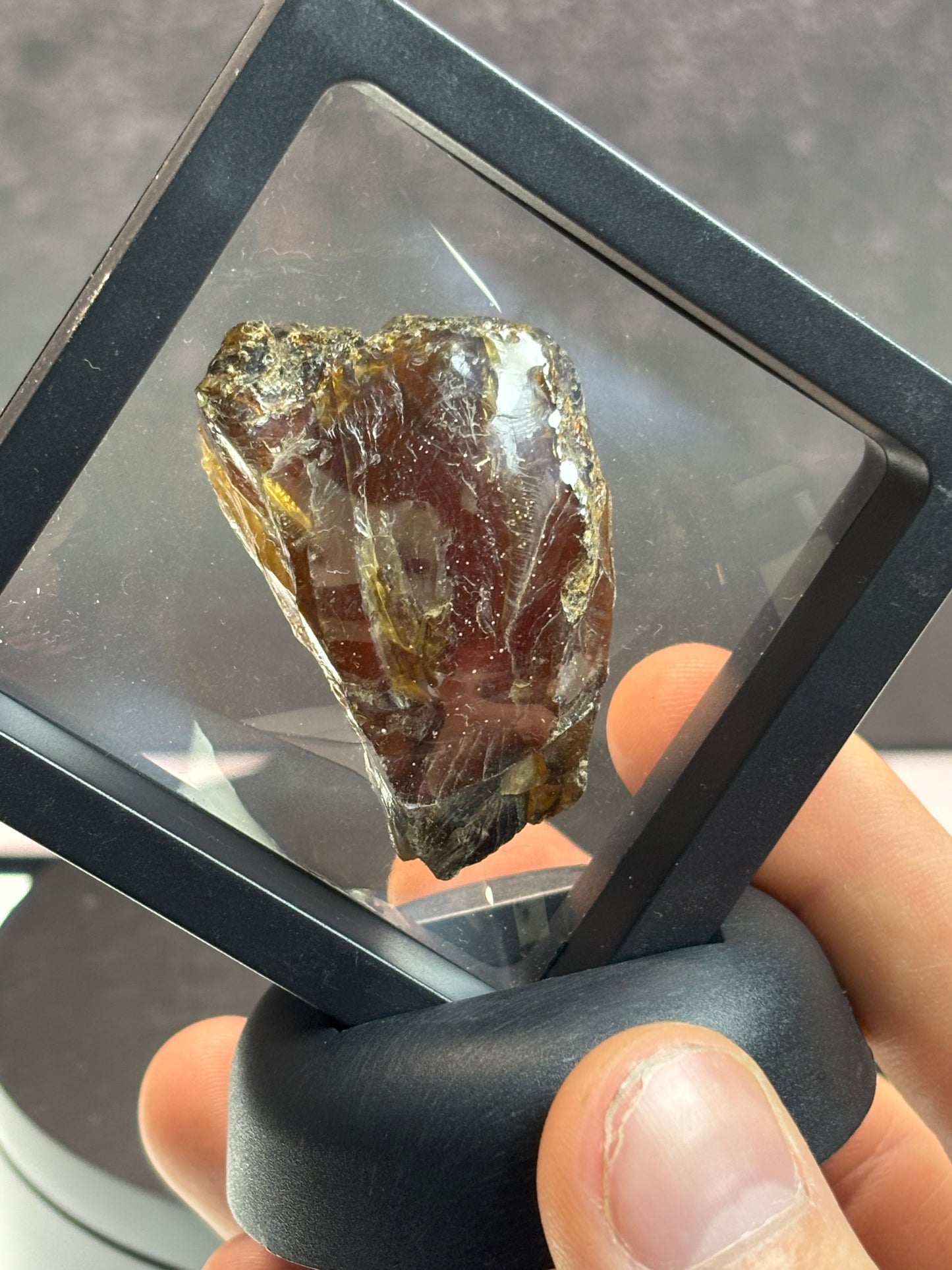Amber Specimen! Blue Under UV Light! 2.5” Display