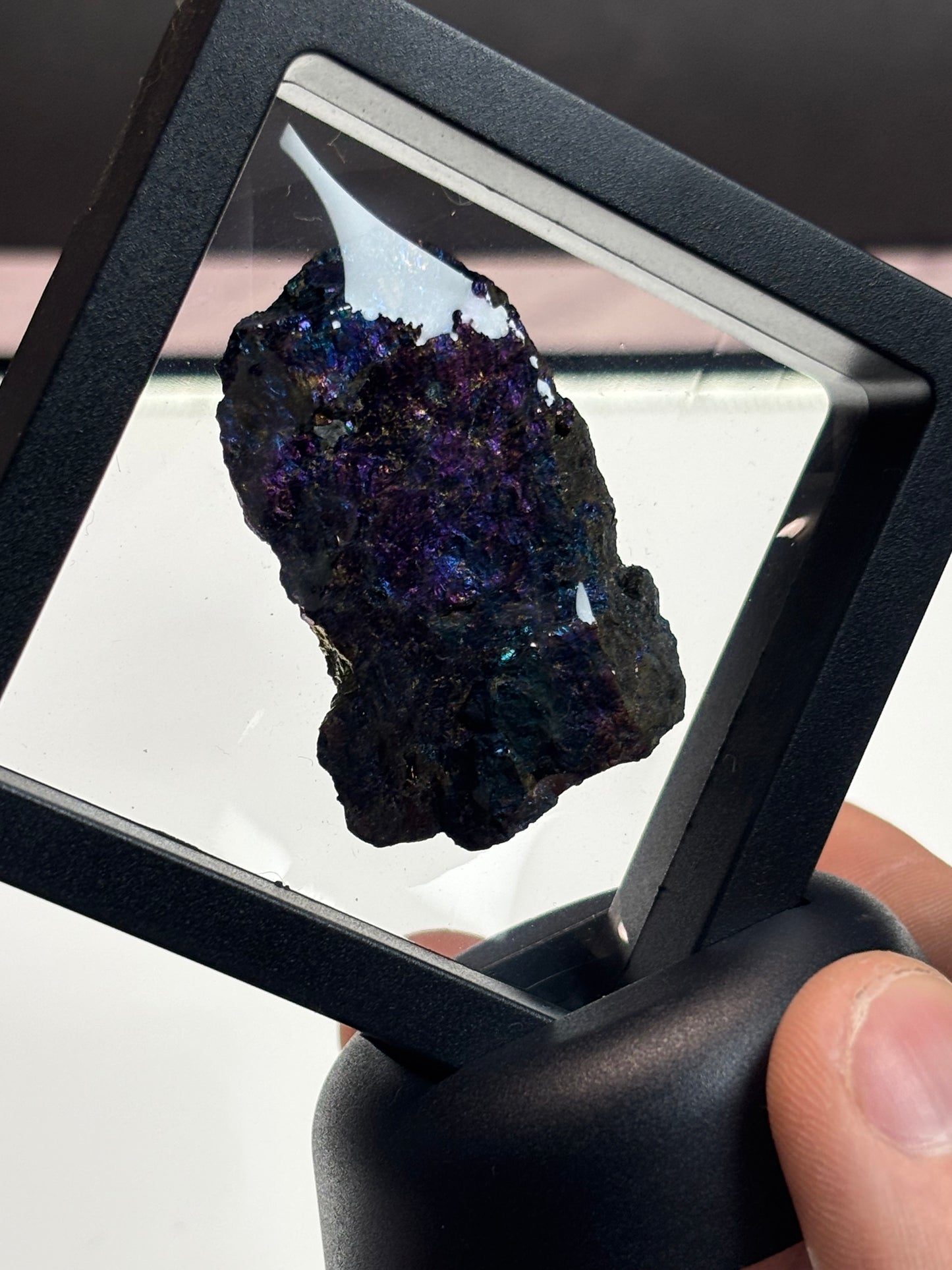 Chalcopyrite/Peacock Ore Specimen! 2.5” Display