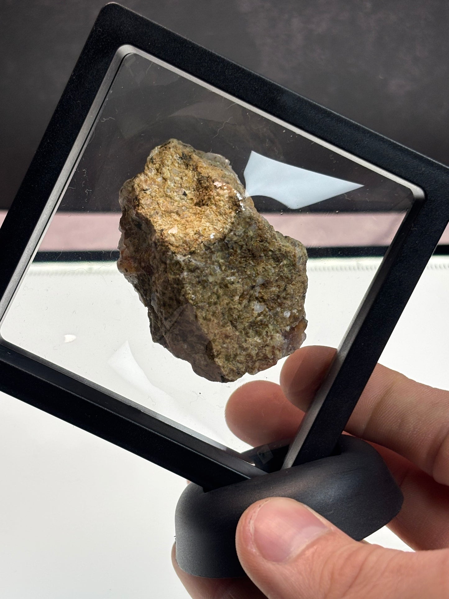 Fire Agate Specimen! 3.5” Display