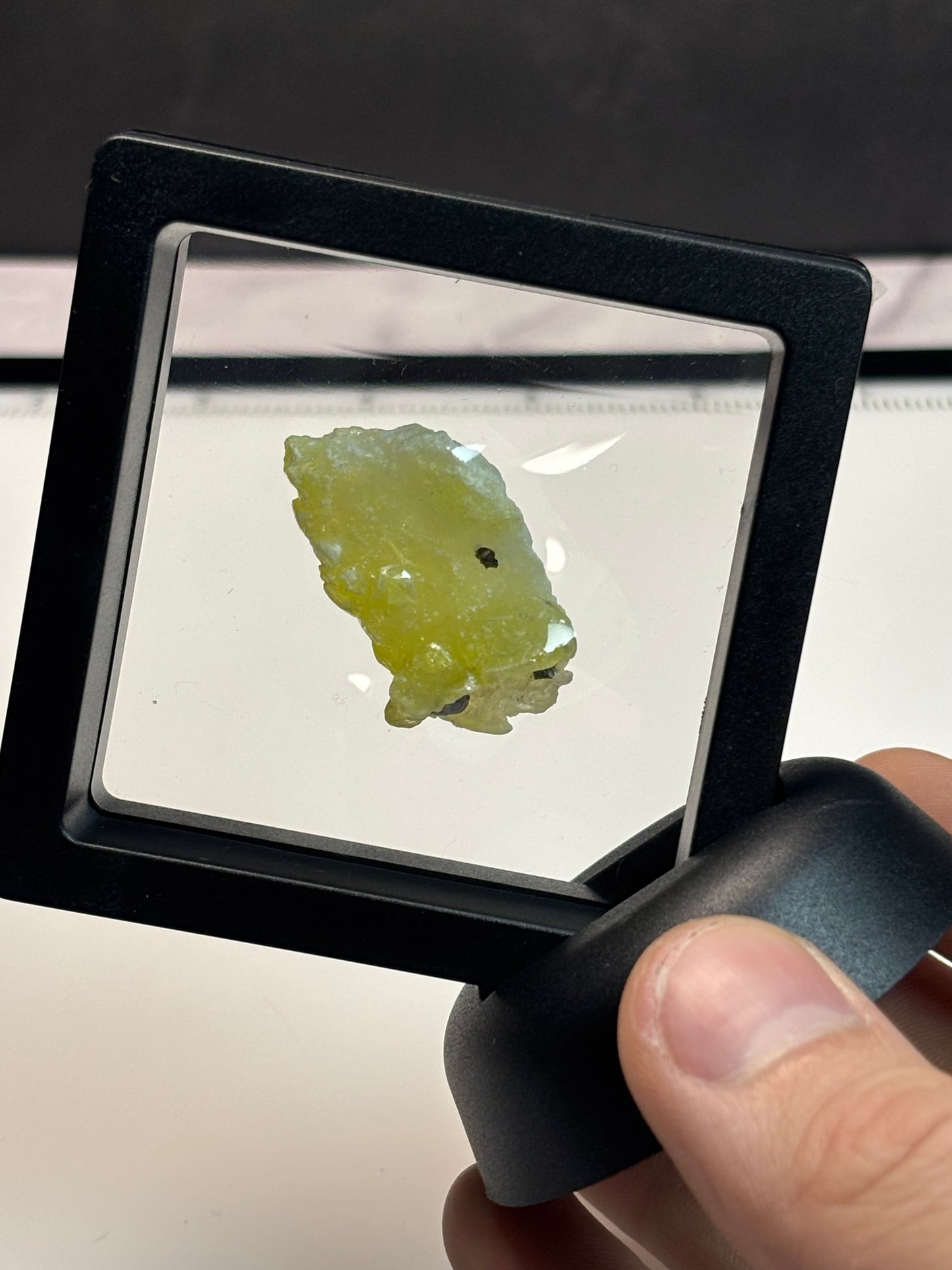 Brucite Specimen! 2.5” Display