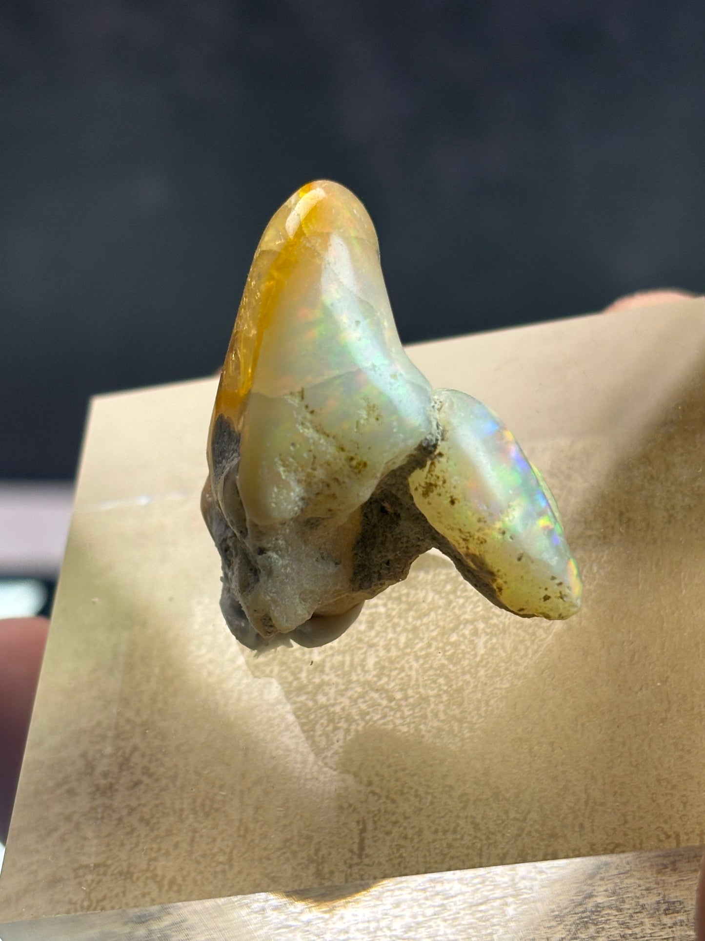 Welo Opal Specimen! Great Fire