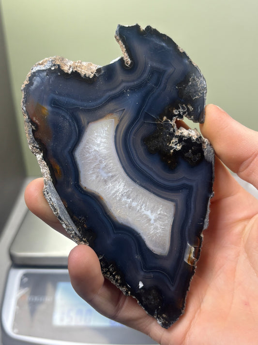 Agate Slice - Brazil