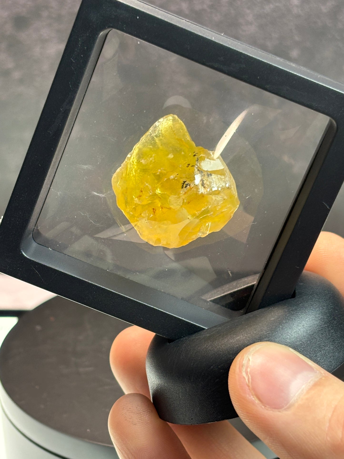 Translucent Yellow Opal Specimen! 2.5” Display