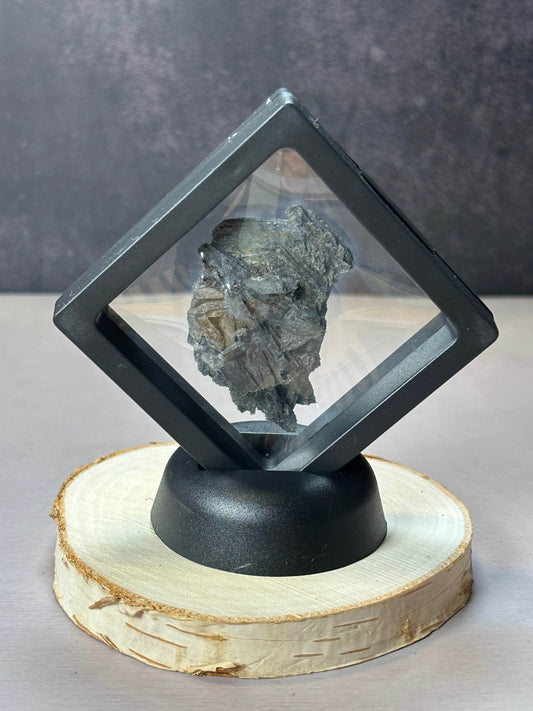 Black Kyanite Specimen in Display! Nice Formation - Hawthorne’s Treasures