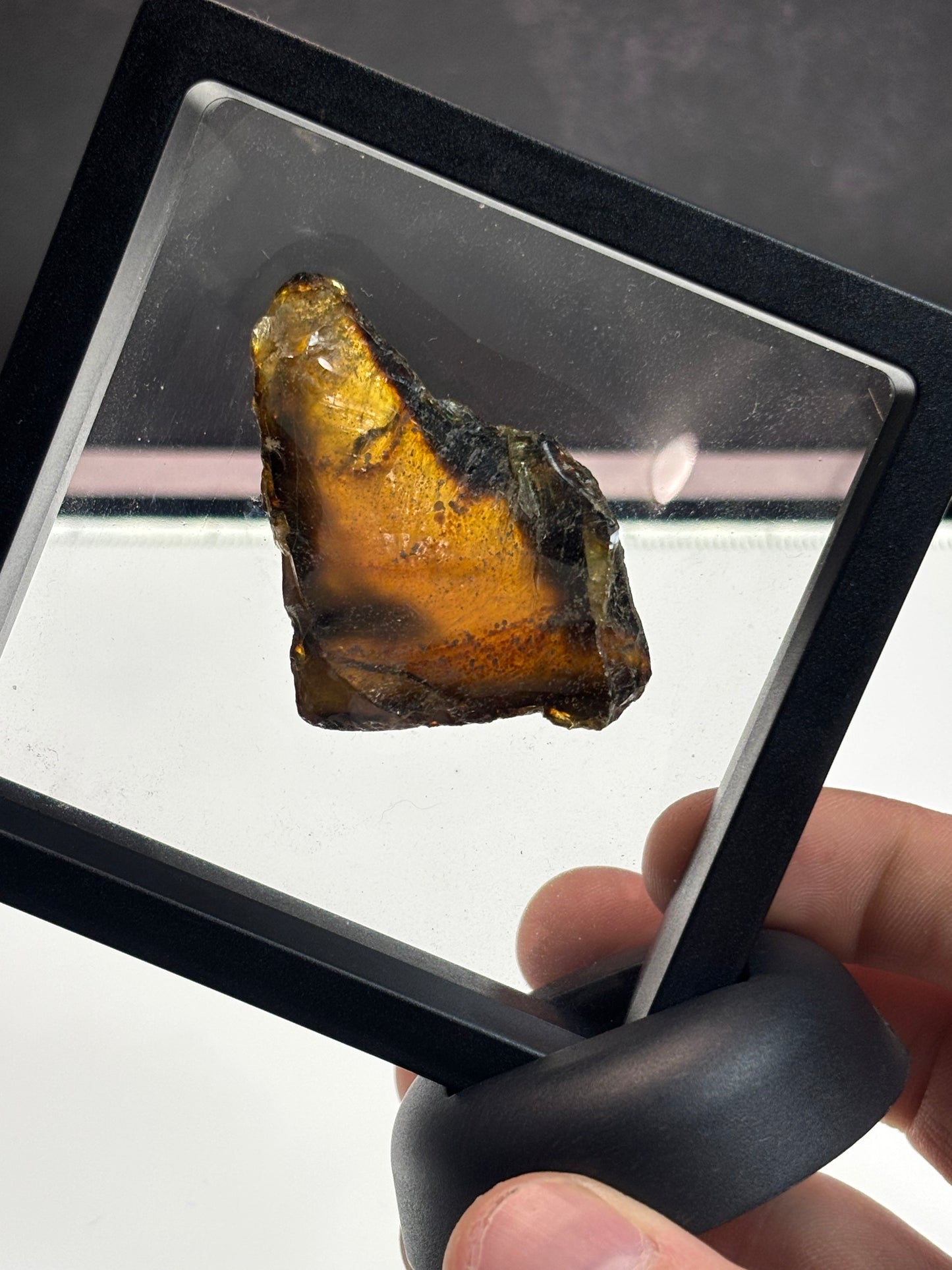 Amber Specimen! 3.5” Display