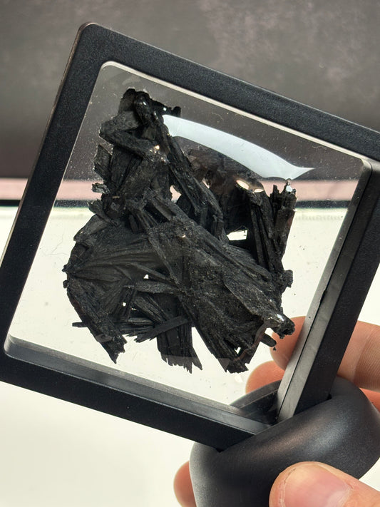 Black Kyanite Specimen! 3.5” Display