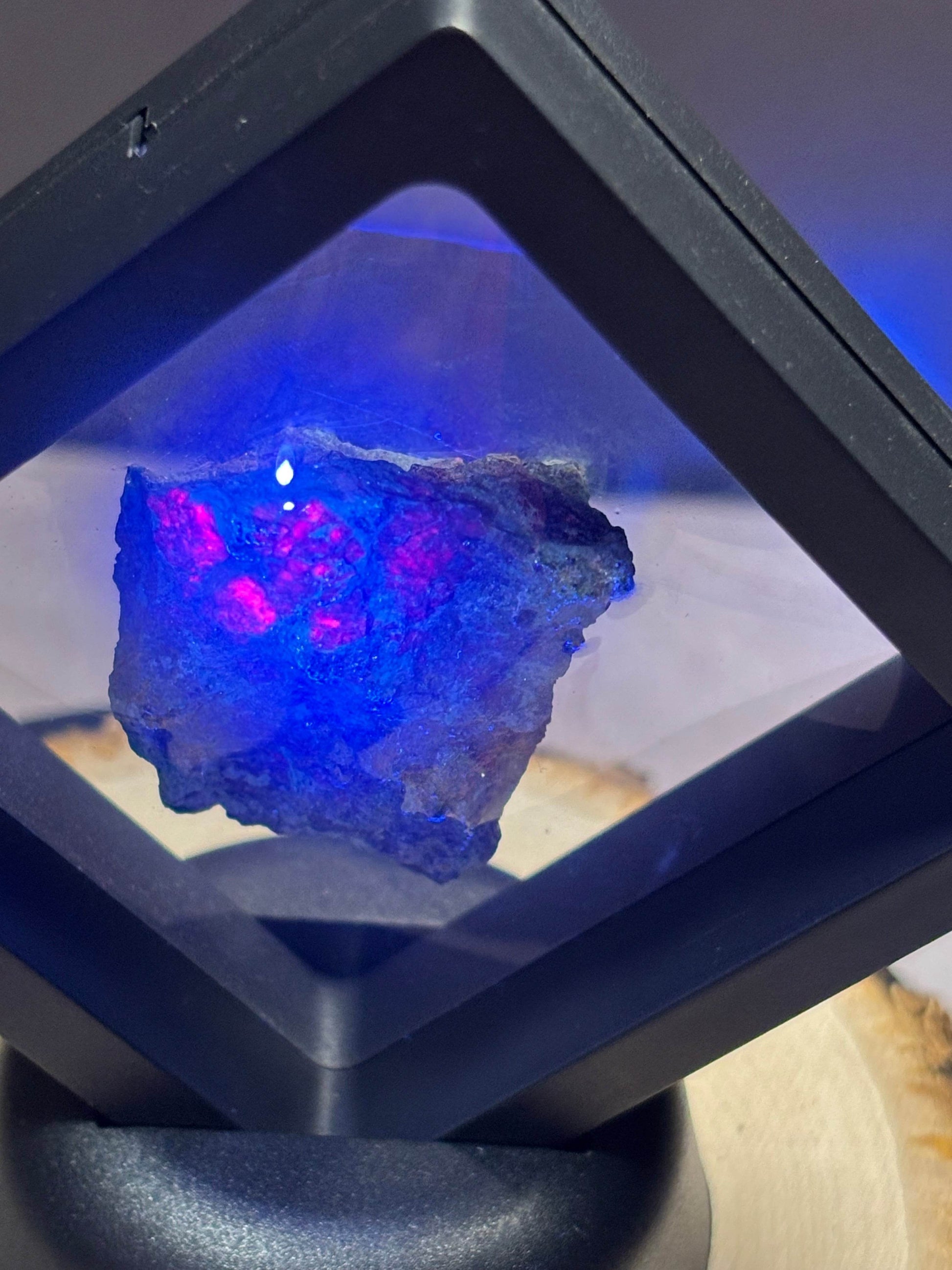 Ruby in a Kyanite Matrix! - Hawthorne’s Treasures