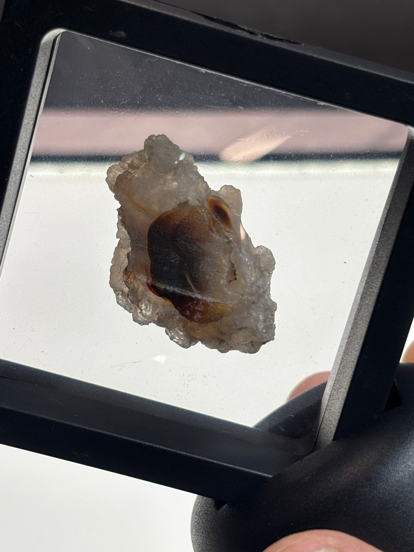 Fire Agate Specimen! 2.5” Display