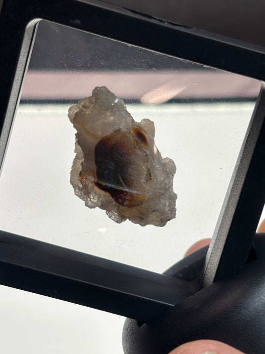 Fire Agate Specimen! 2.5” Display