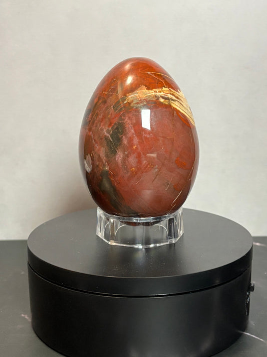 Petrified Wood Egg!