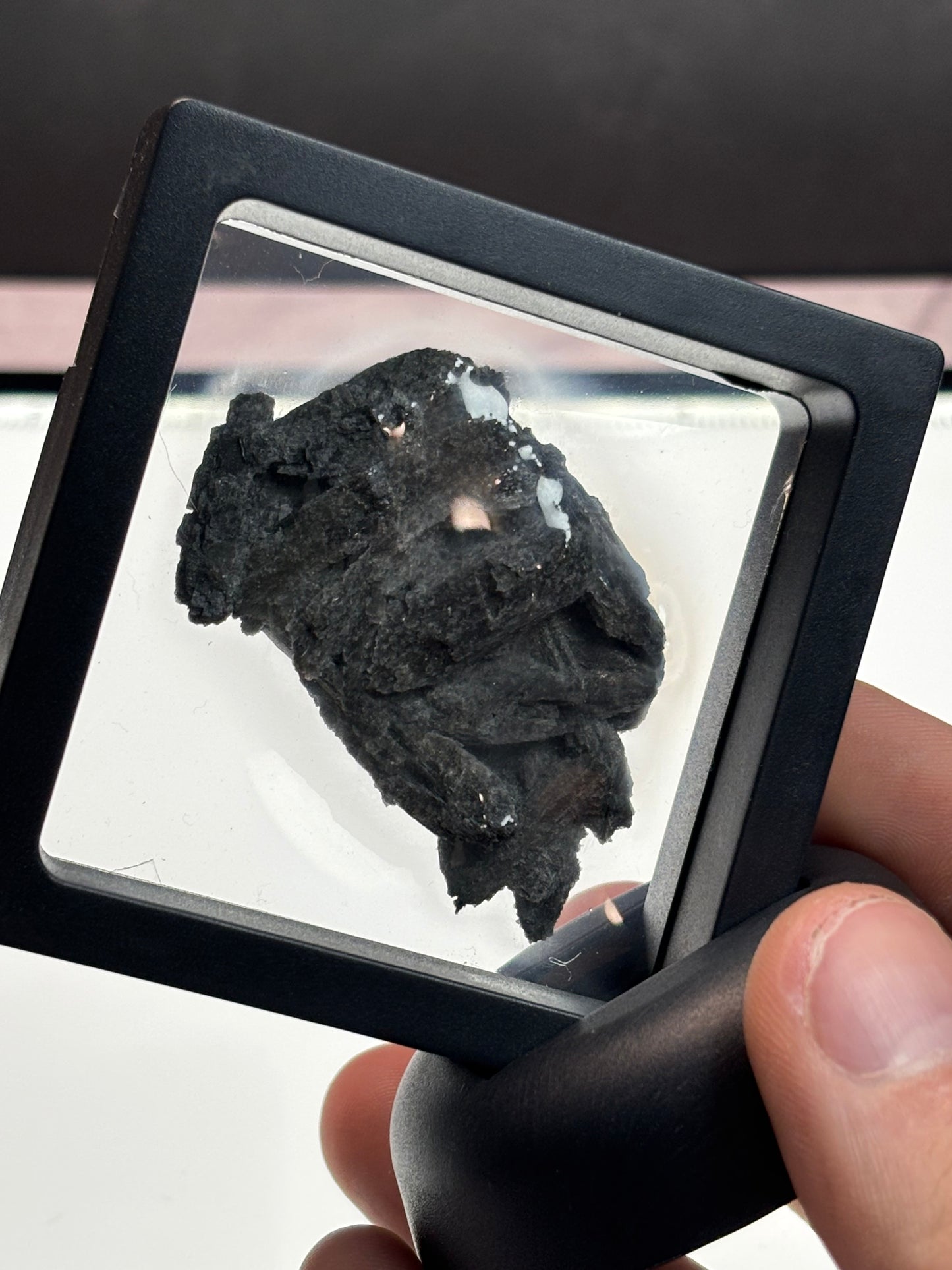 Black Kyanite Specimen! 2.5” Display