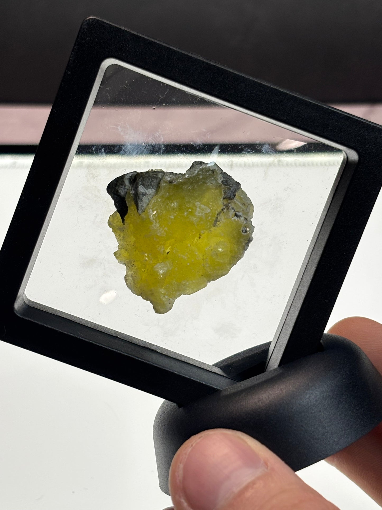 Brucite Specimen! 2.5” Display