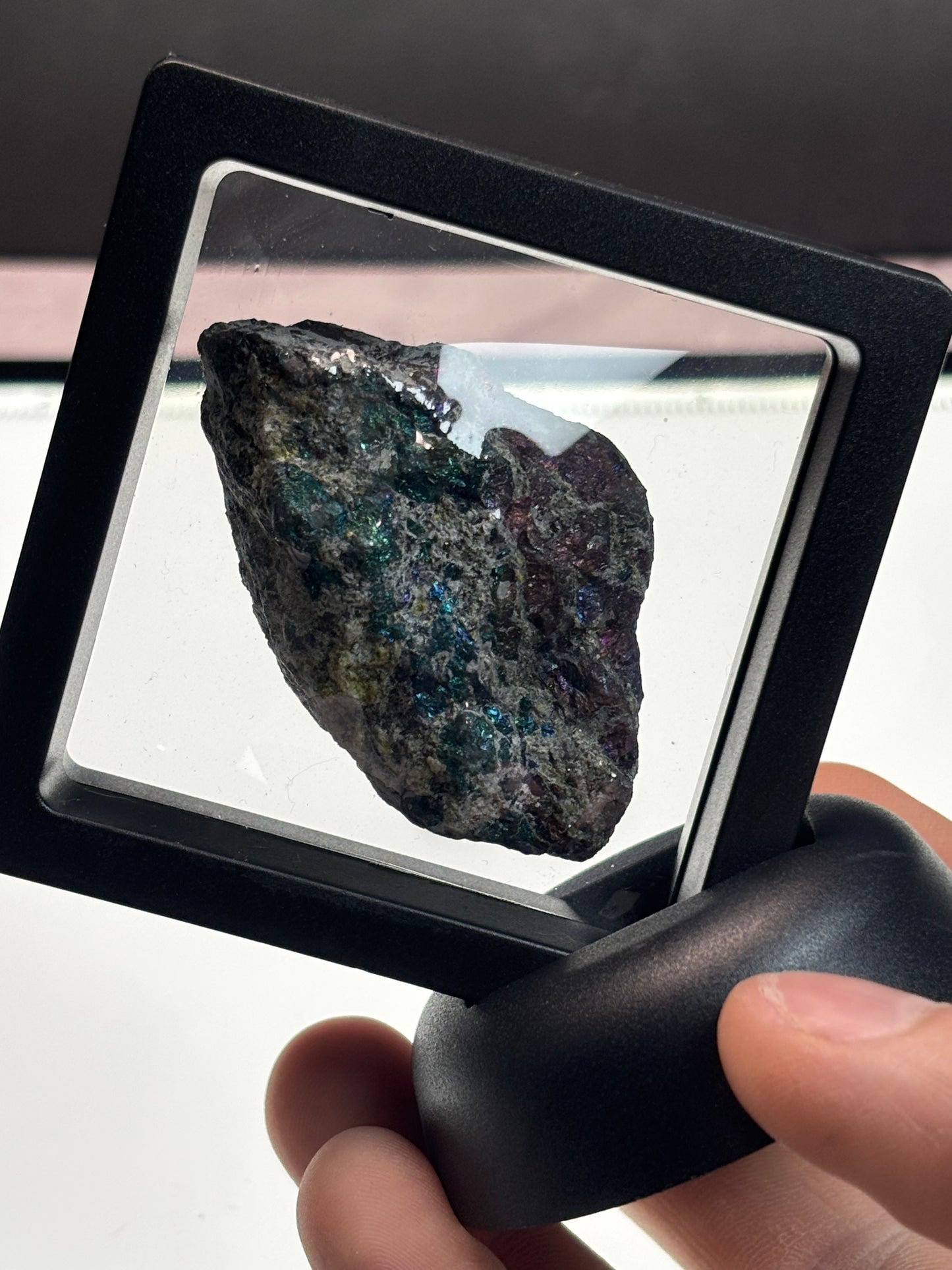 Chalcopyrite/Peacock Ore Specimen! 2.5” Display