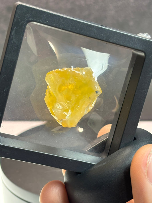 Translucent Yellow Opal Specimen! 2.5” Display