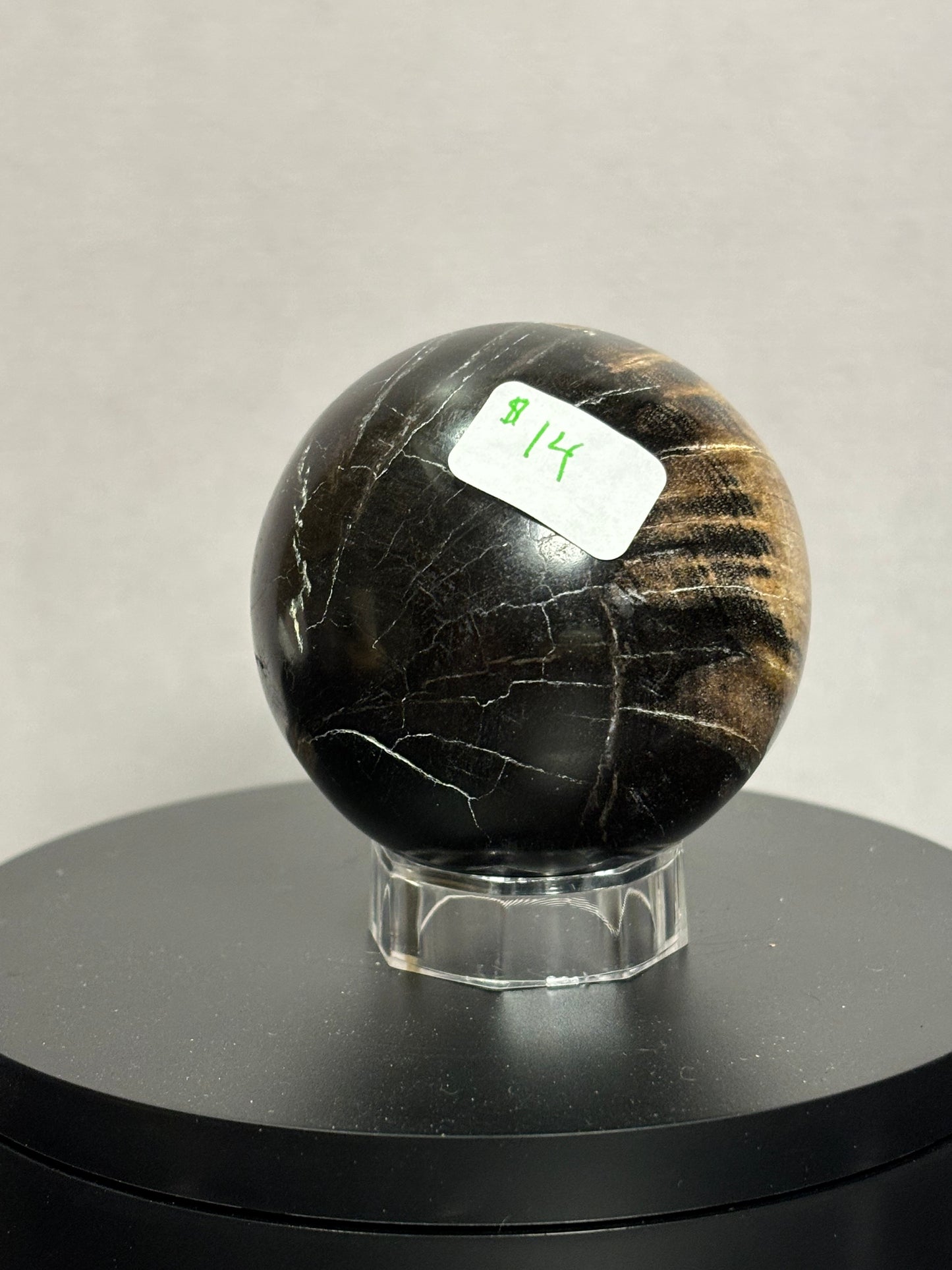 Petrified Wood Sphere!