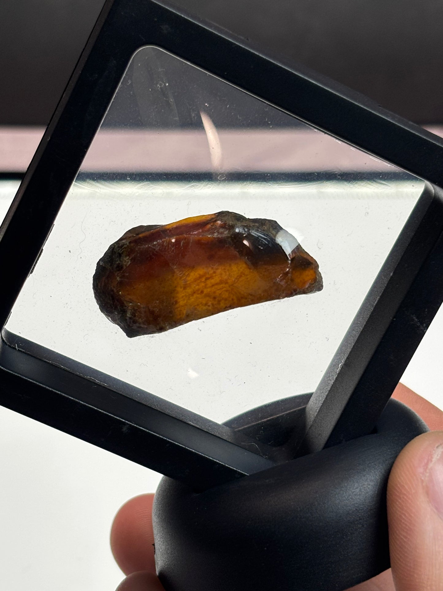 Amber Specimen! Orange with Red Band! 2.5” Display