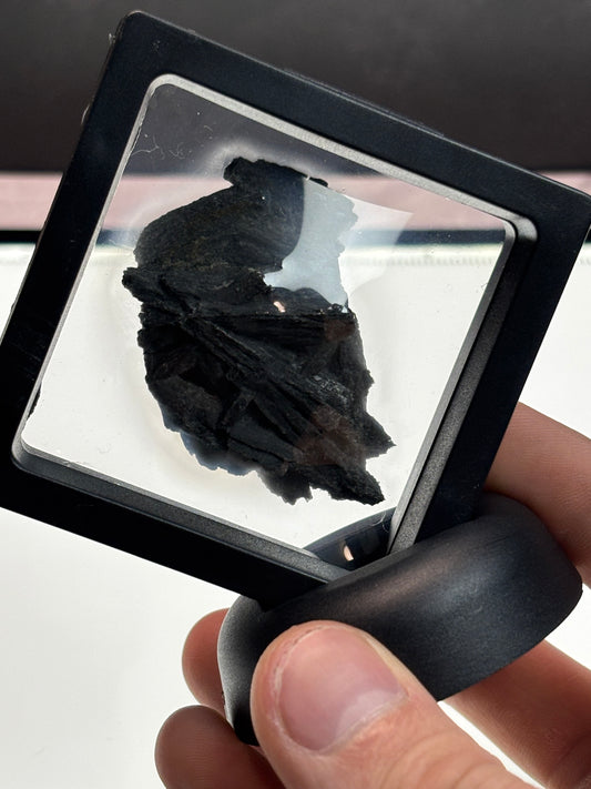 Black Kyanite Specimen! 2.5” Display