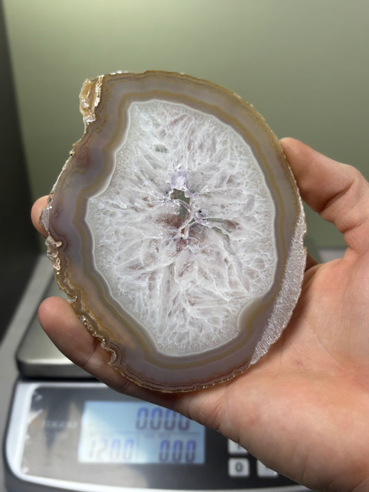 Agate Slice - Brazil