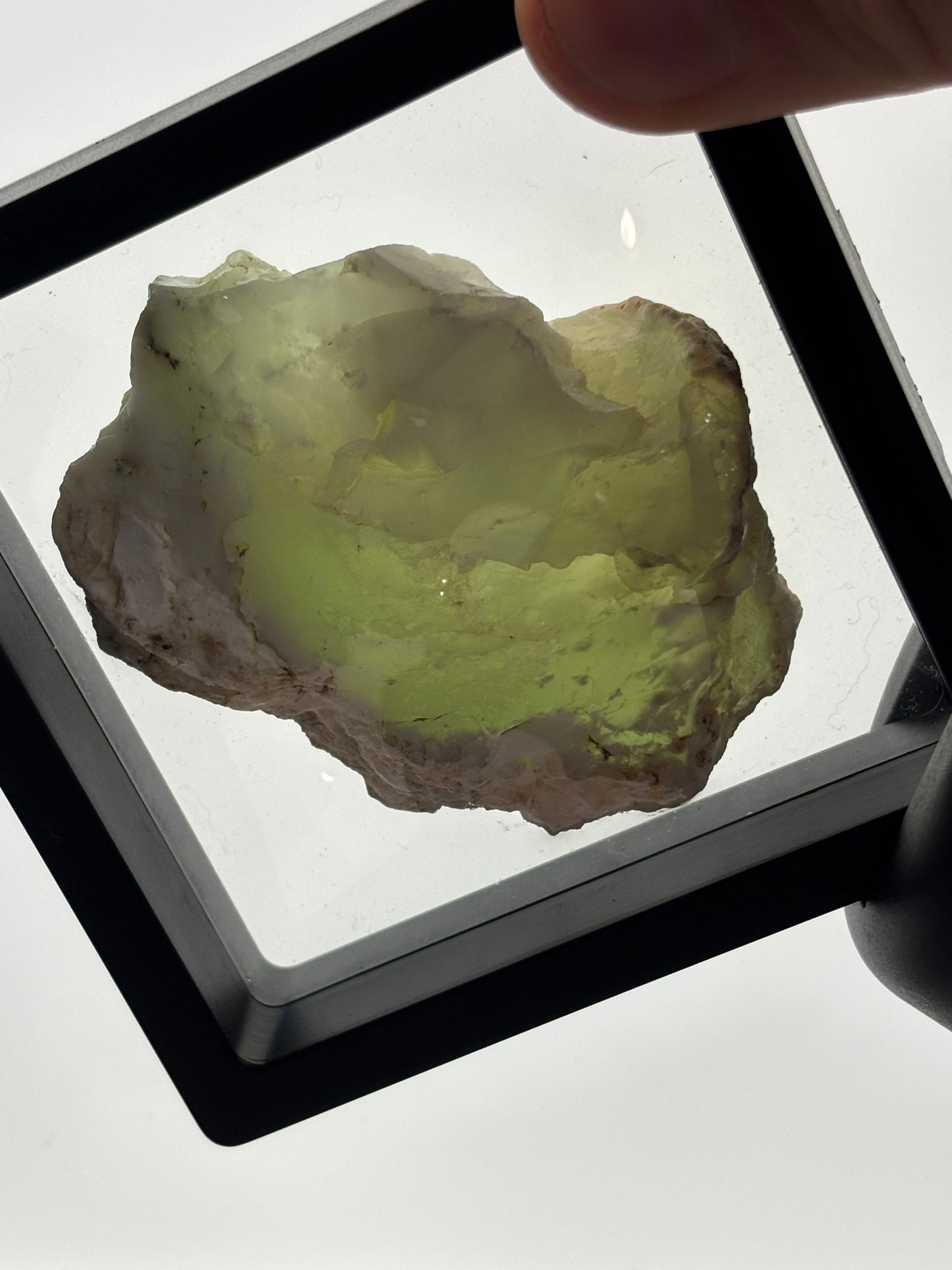 White Lime Chrysoprase Specimen! 3.5” Display