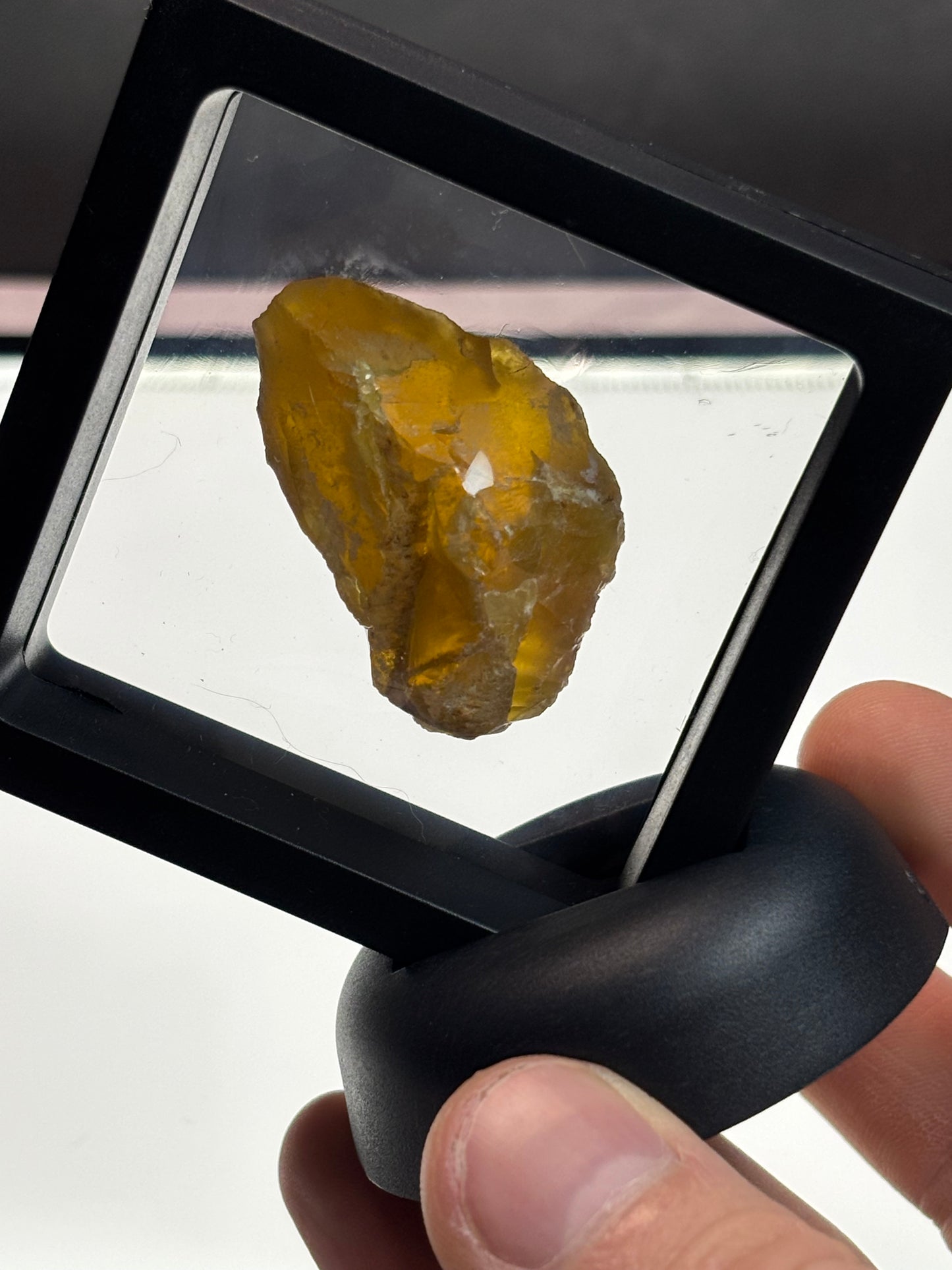 Yellow Opal Specimen! 2.5” Display