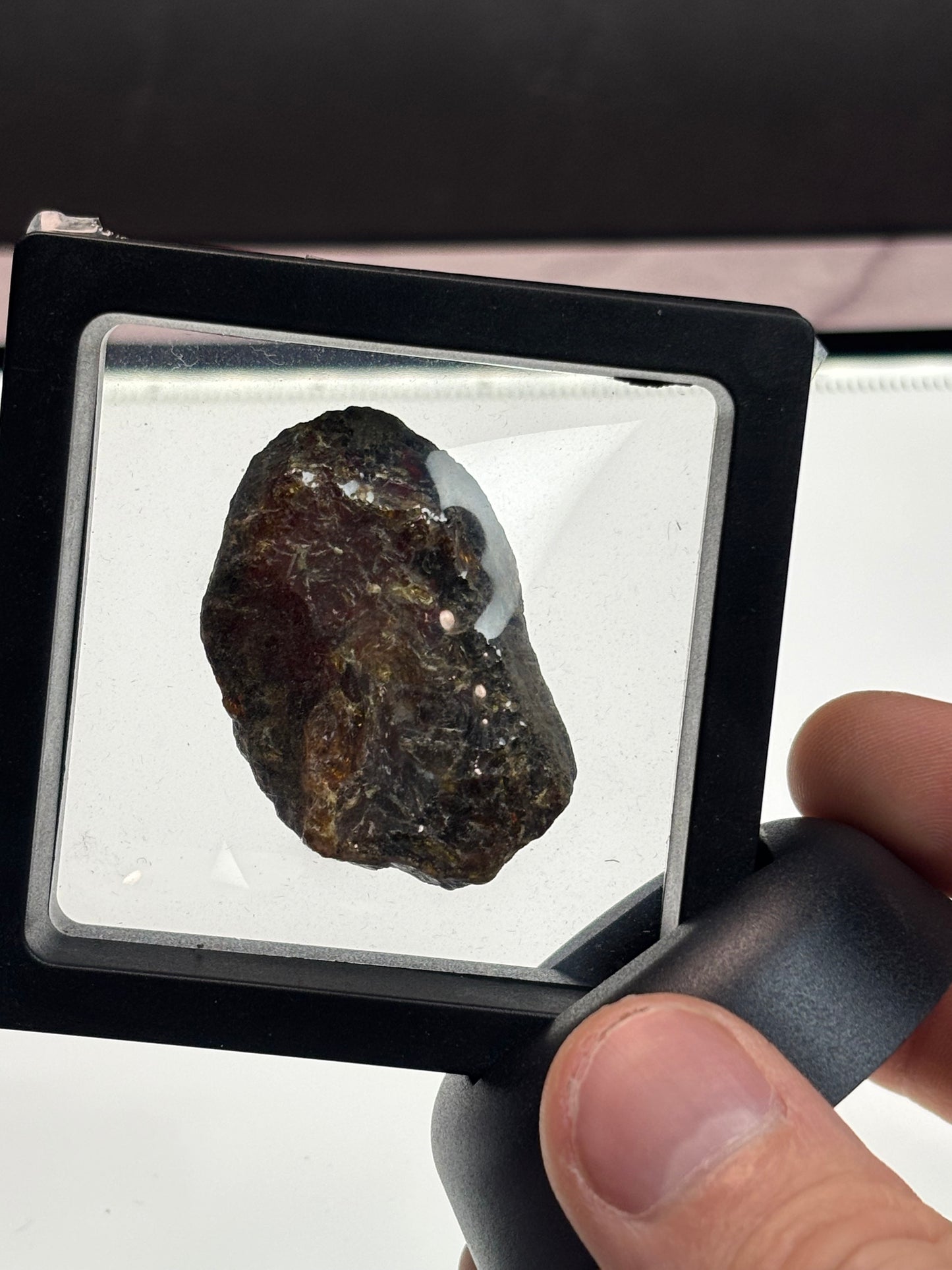 Amber Specimen! Very Dark. 2.5” Display