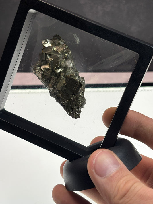Pyrite Specimen! 3.5” Display