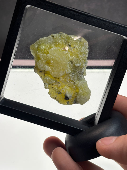 Brucite Specimen! 3.5” Display