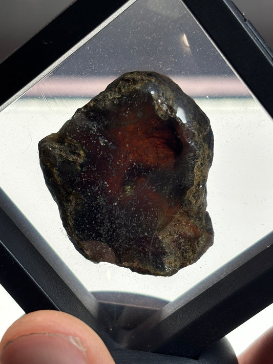 Amber Specimen! Deep Red Color! 2.5” Display