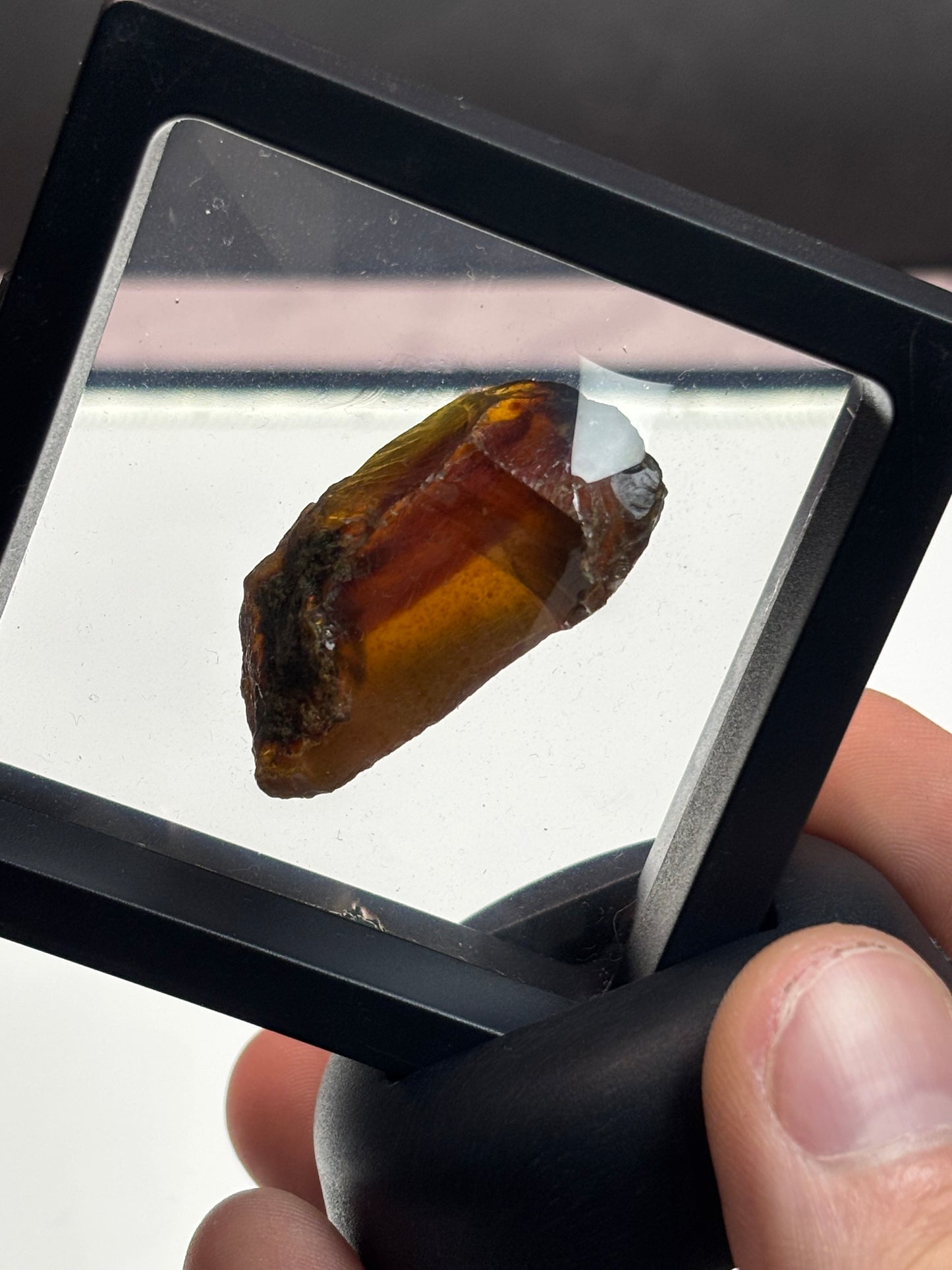 Amber Specimen! Orange with Red Band! 2.5” Display