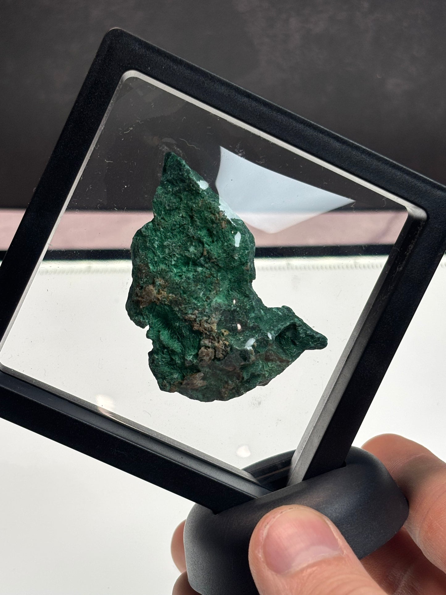 Fibrous Malachite Specimen! 3.5” Display