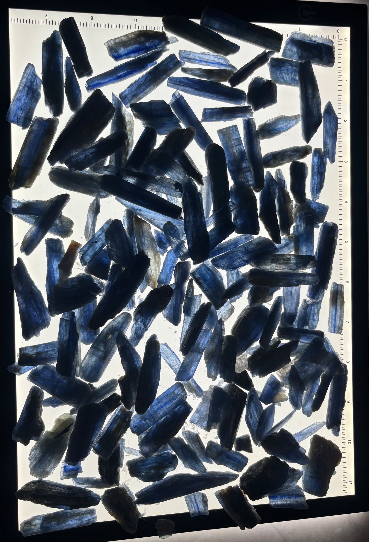 Blue Kyanite Blades! - Brazil