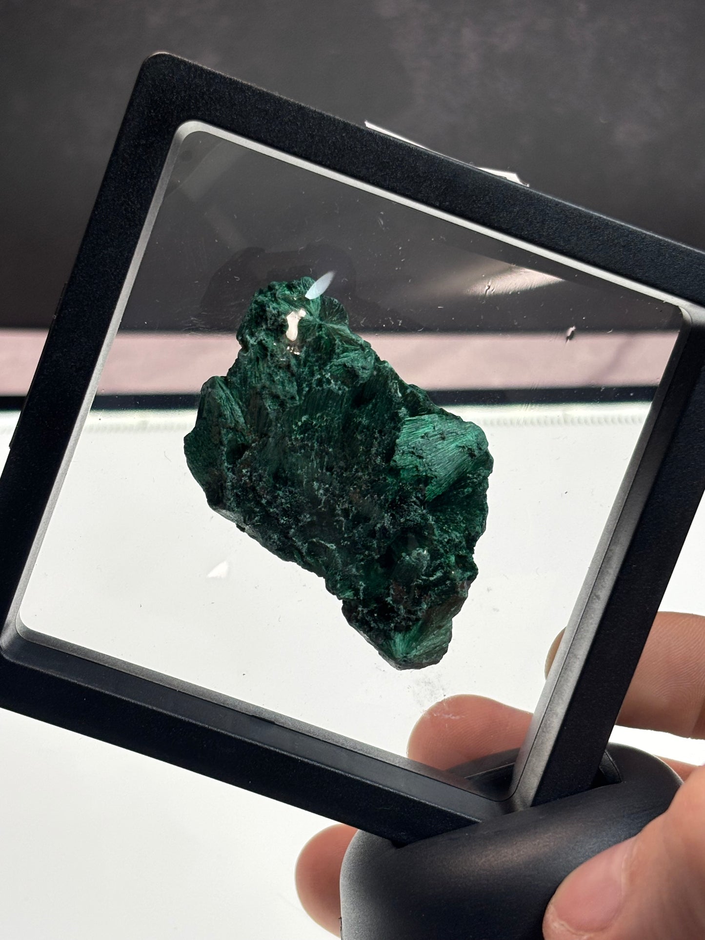Fibrous Malachite Specimen! 3.5” Display