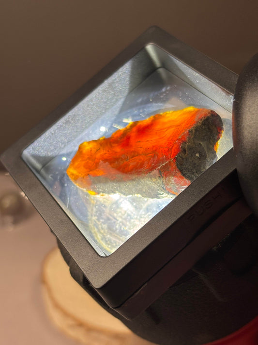 Amber Specimen! Reddish/Orange hue! Blue under UV! - Hawthorne’s Treasures