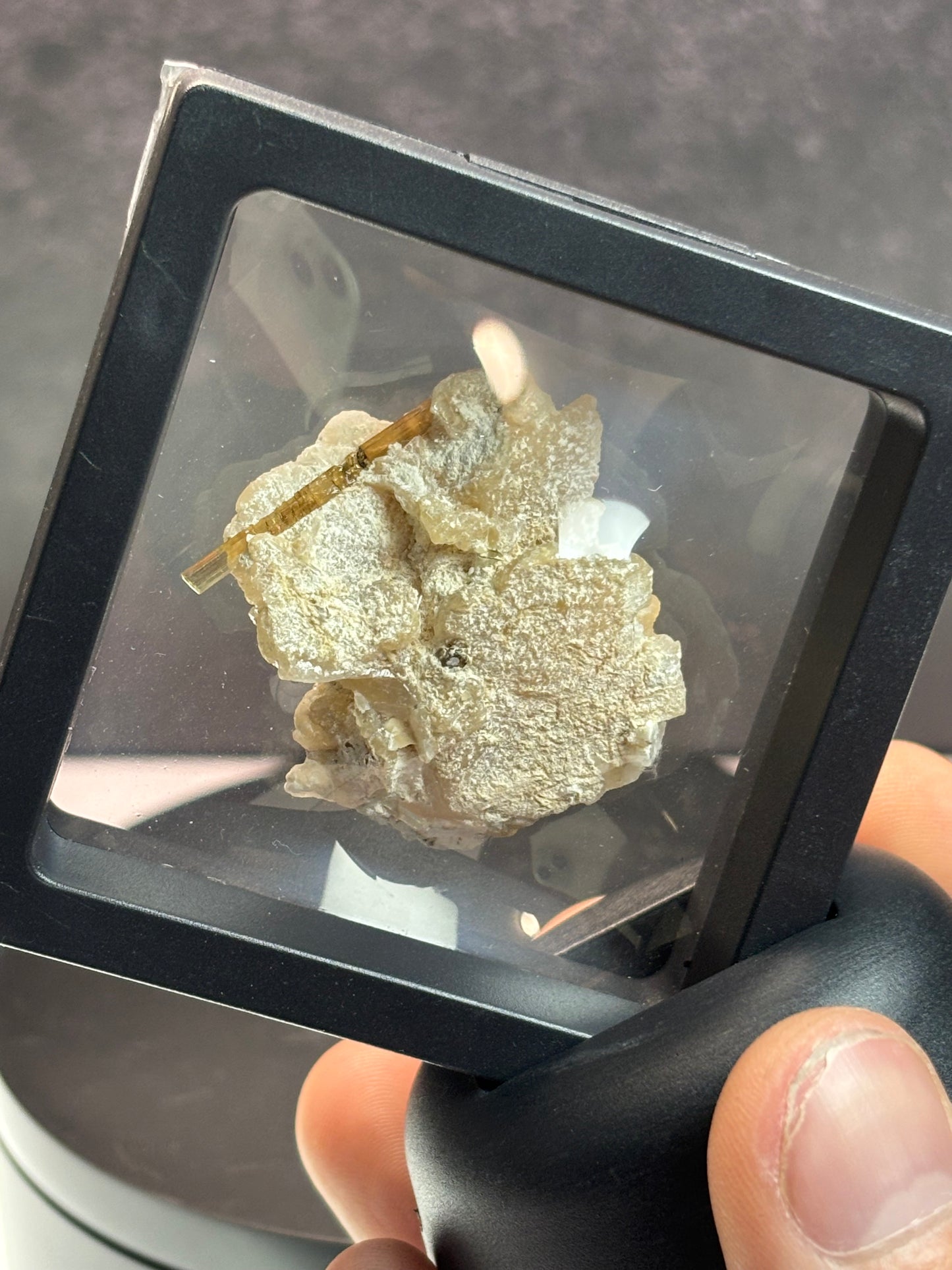 Brown Tourmaline on a Matrix Specimen! 2.5” Display