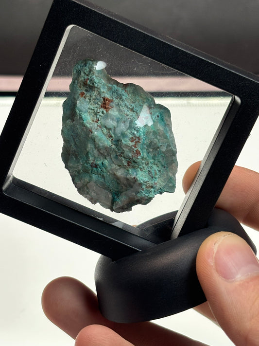Chrysocolla on Quartz Specimen! 2.5” Display