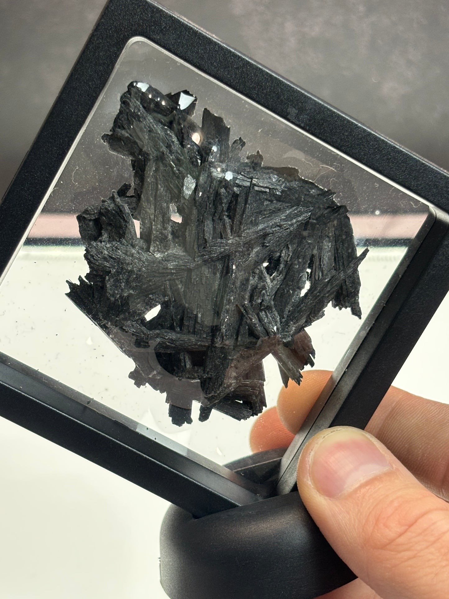 Black Kyanite Specimen! 3.5” Display