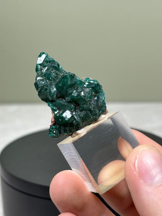 Dioptase - Congo