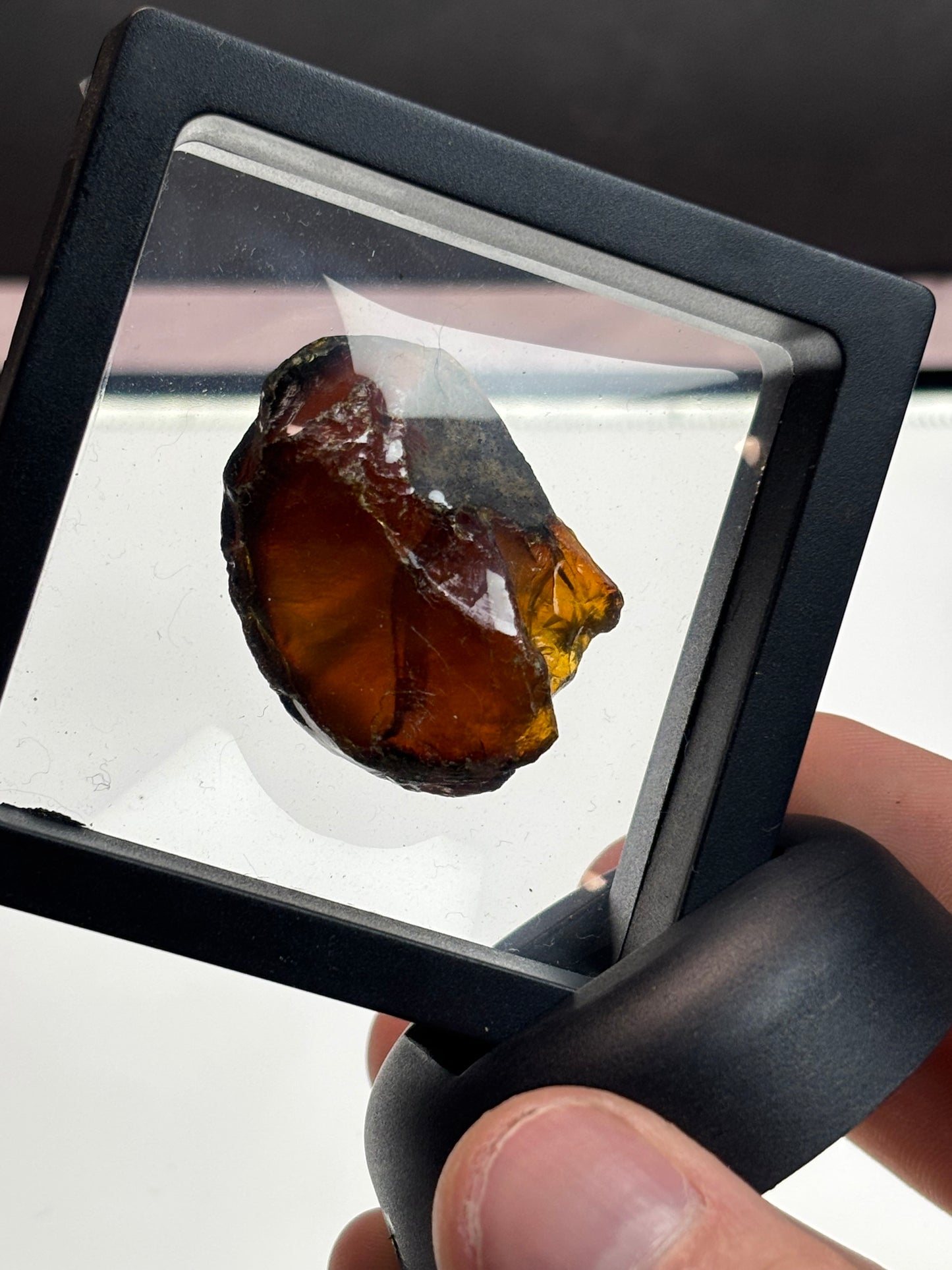 Amber Specimen! Deep color! 2.5” Display