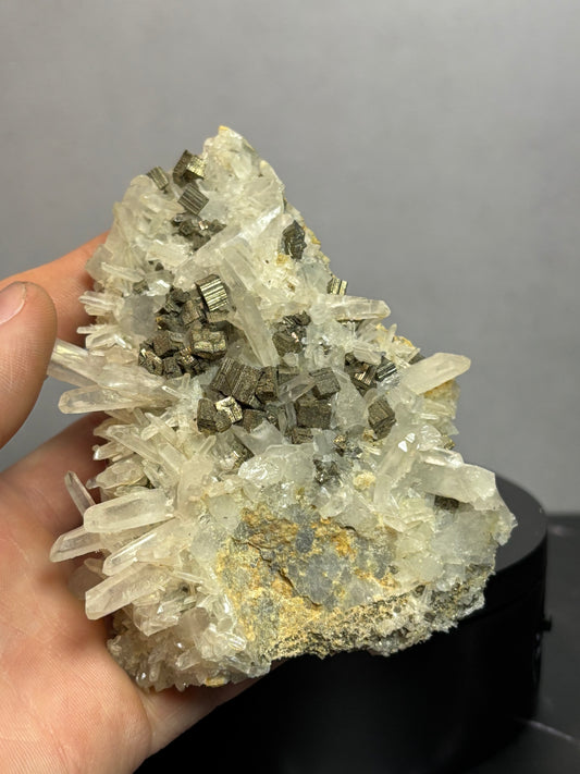 Pyrite On Quartz! Very unique!!