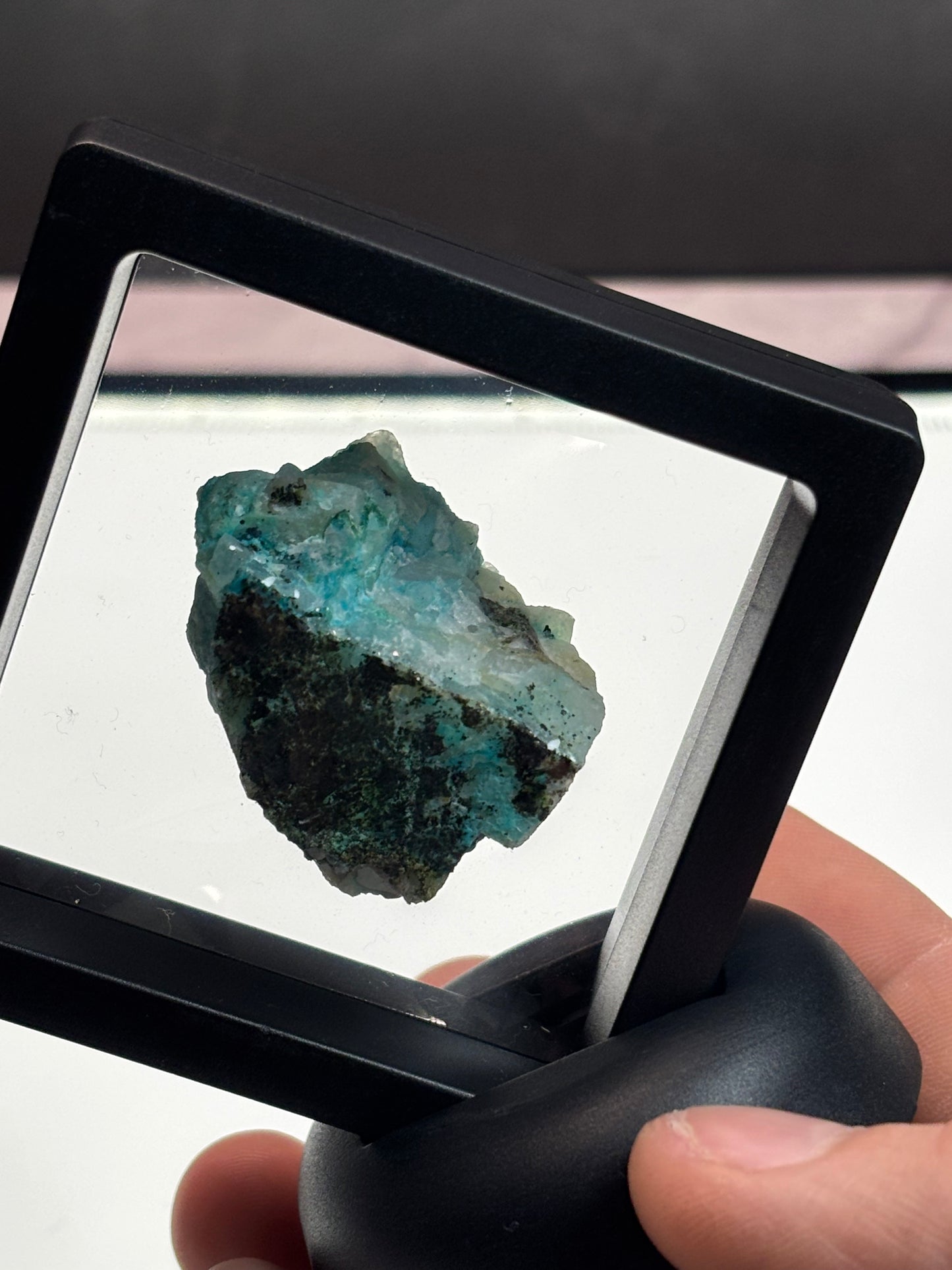Chrysocolla On Quartz Specimen! 2.5” Display