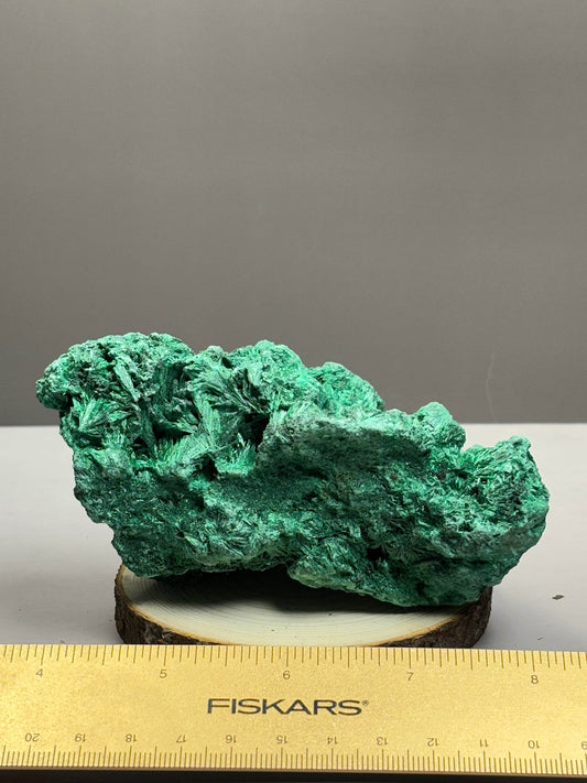Amazing Malachite Specimen! Fibrous Formation! - Hawthorne’s Treasures
