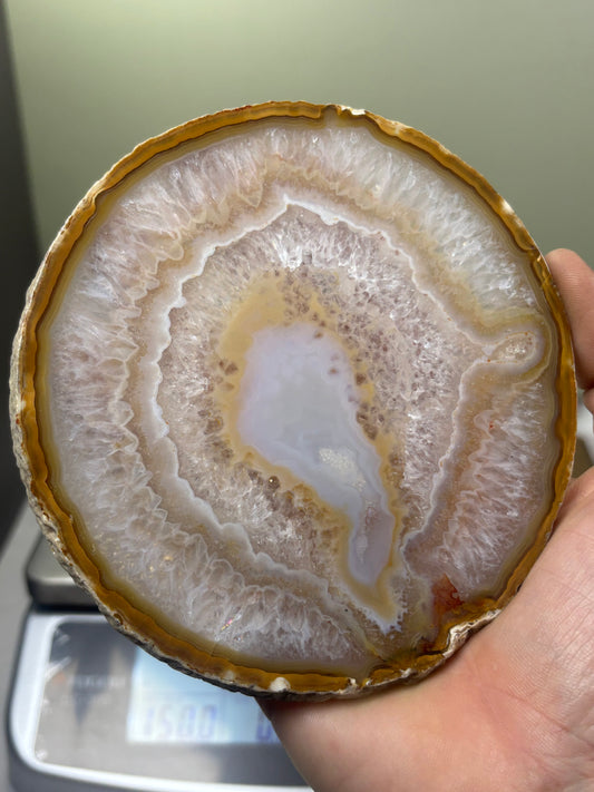 Agate Slice - Brazil
