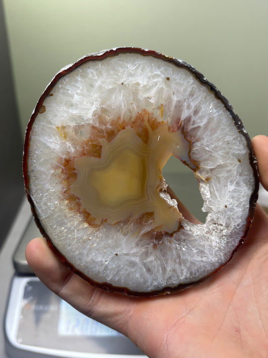 Agate Slice - Brazil