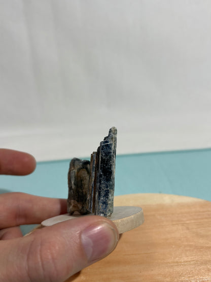 Blue Kyanite, Kenya, 47.1 grams/ 235.5 cts