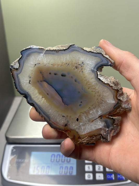 Agate Slice - Brazil