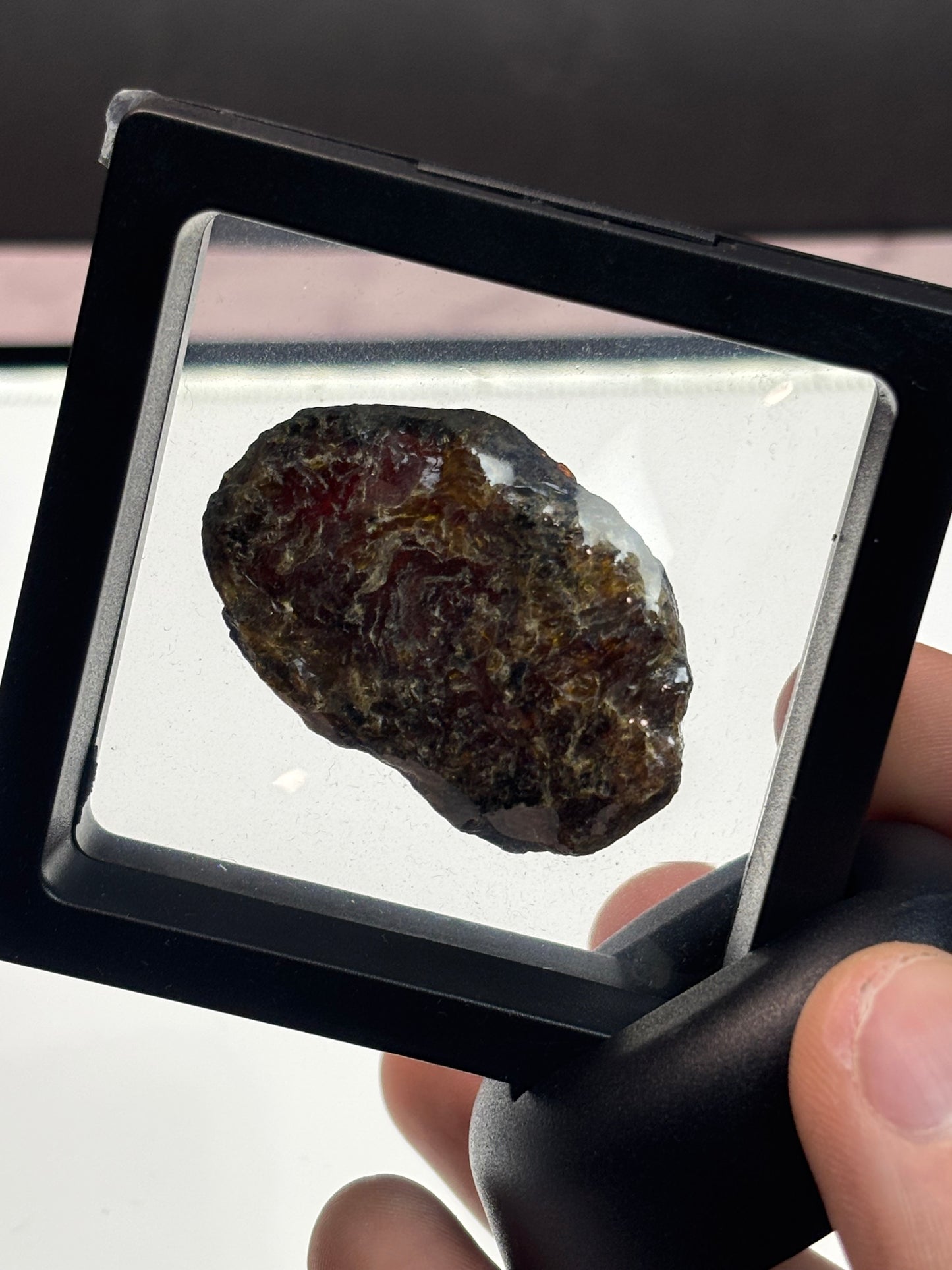 Amber Specimen! Very Dark. 2.5” Display